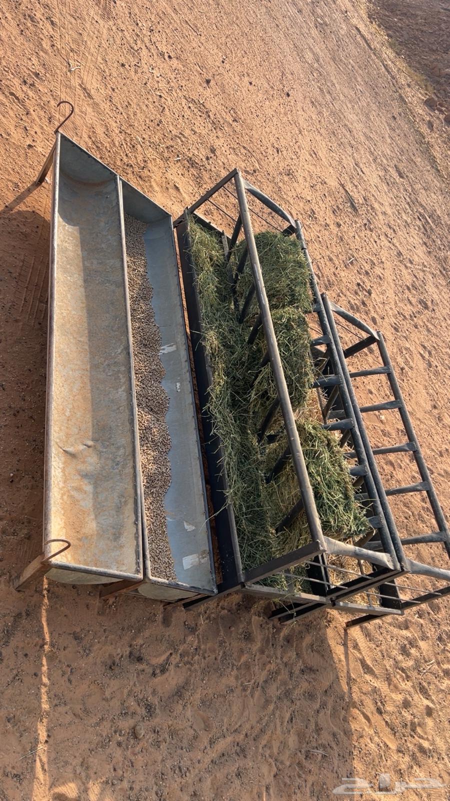 معالف 4 خوات الجديد64380390290818110