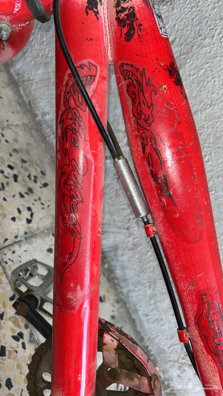 سيكل كوبرا64382900890371112