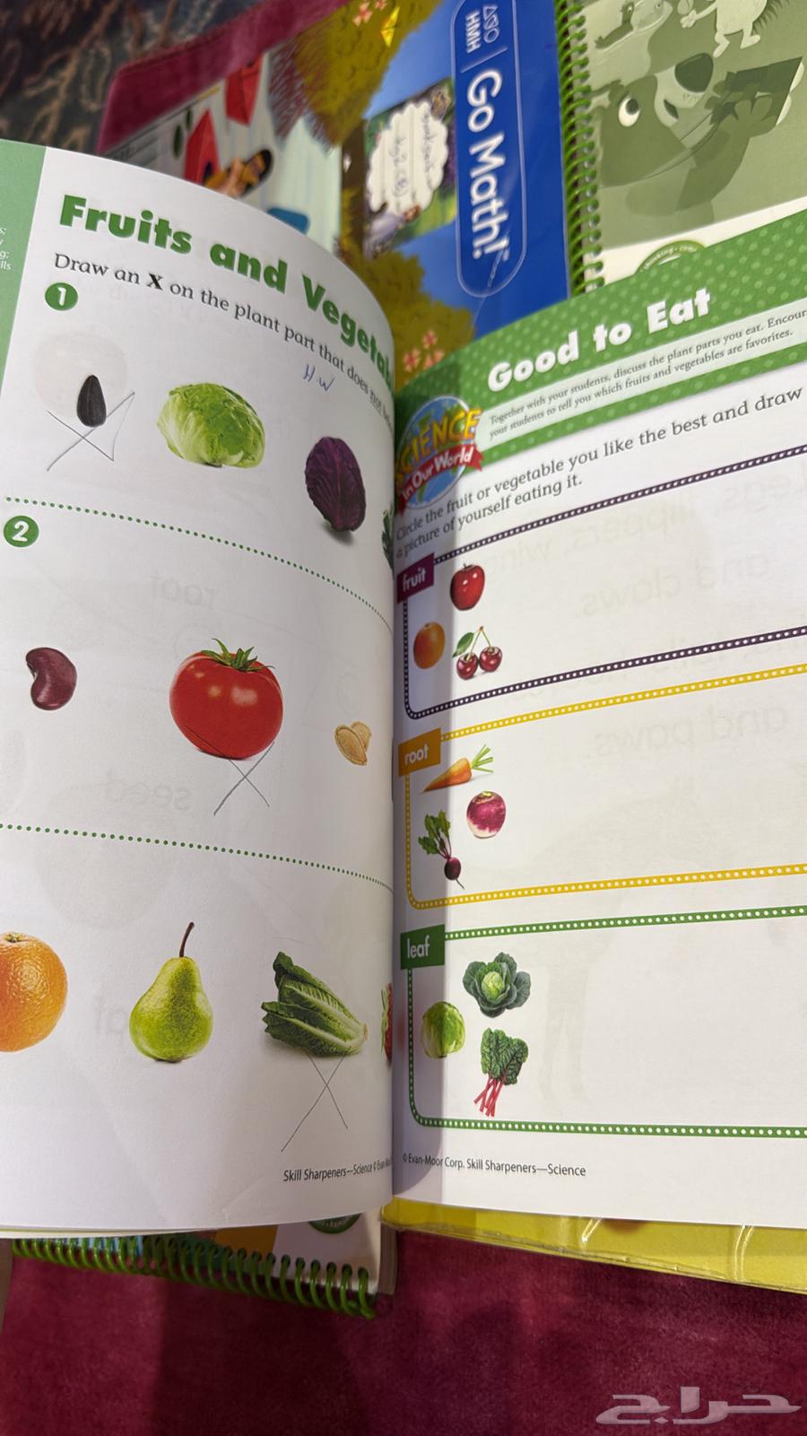 كتاب مستعمله نظيفه مدارس انترناشونال كي جي 2-kg264383483781379114