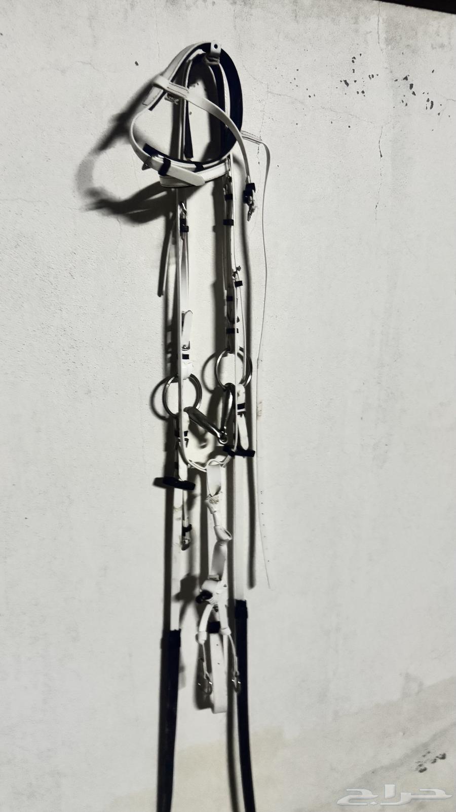 للبيع جام ولباده استخدام نضيف64378310331394110