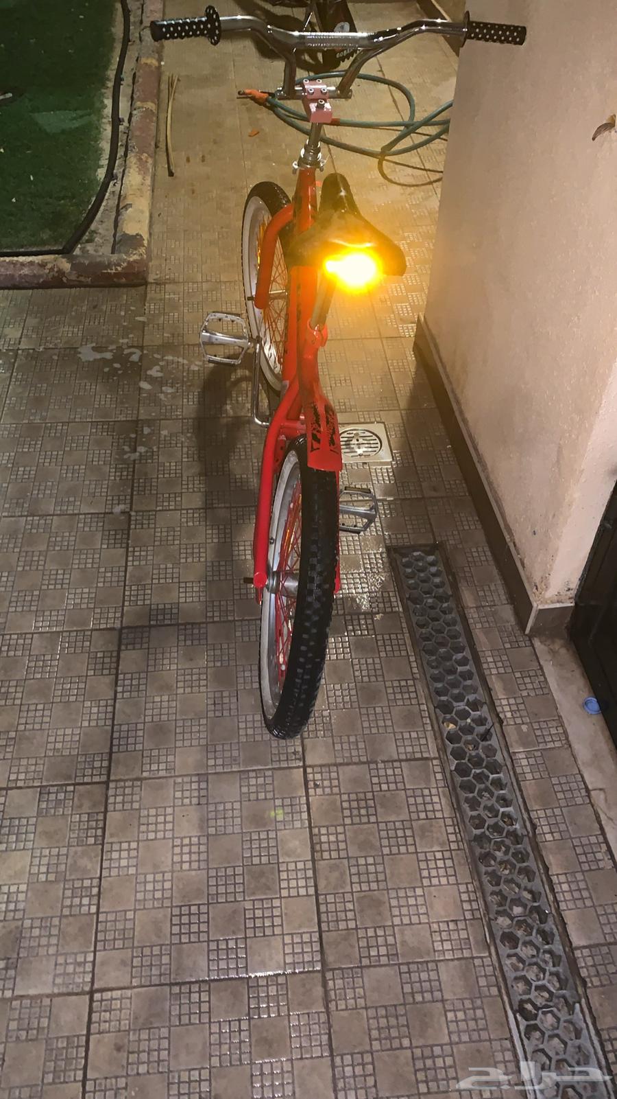 Cyclone Cobra64378105569793110