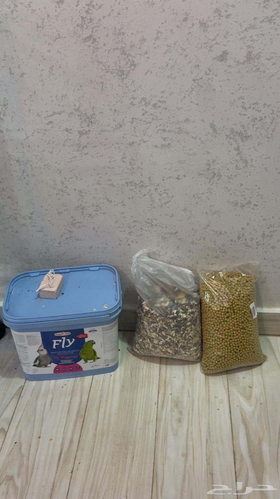 كايك فرخ لعوب ويصلح للاطفال64386388655617113