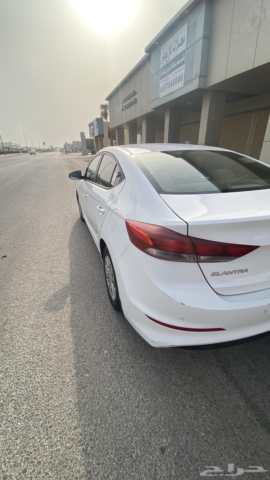 Nitra 2016 second batch64525760247554113