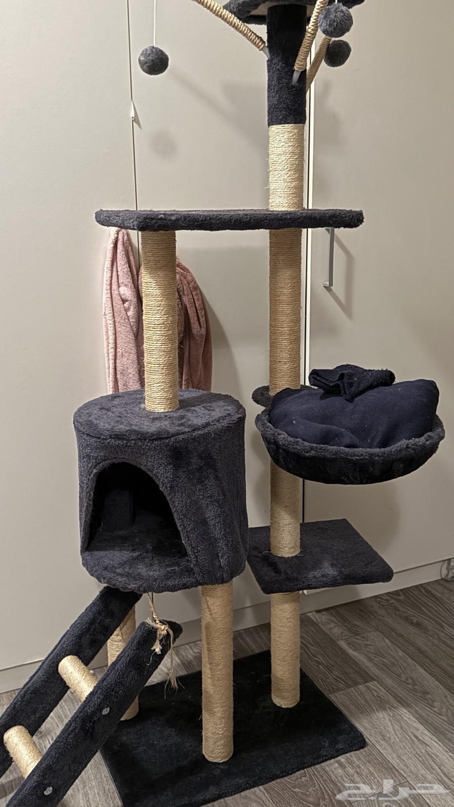 خداشة قطط64388880838402110