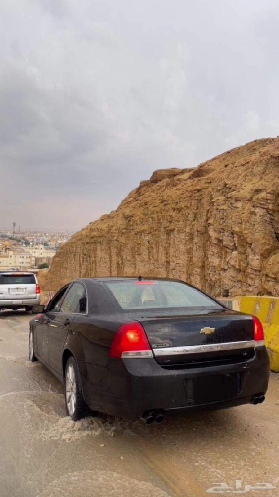 النوع كابرس كابرس موديل 201164537602201346110