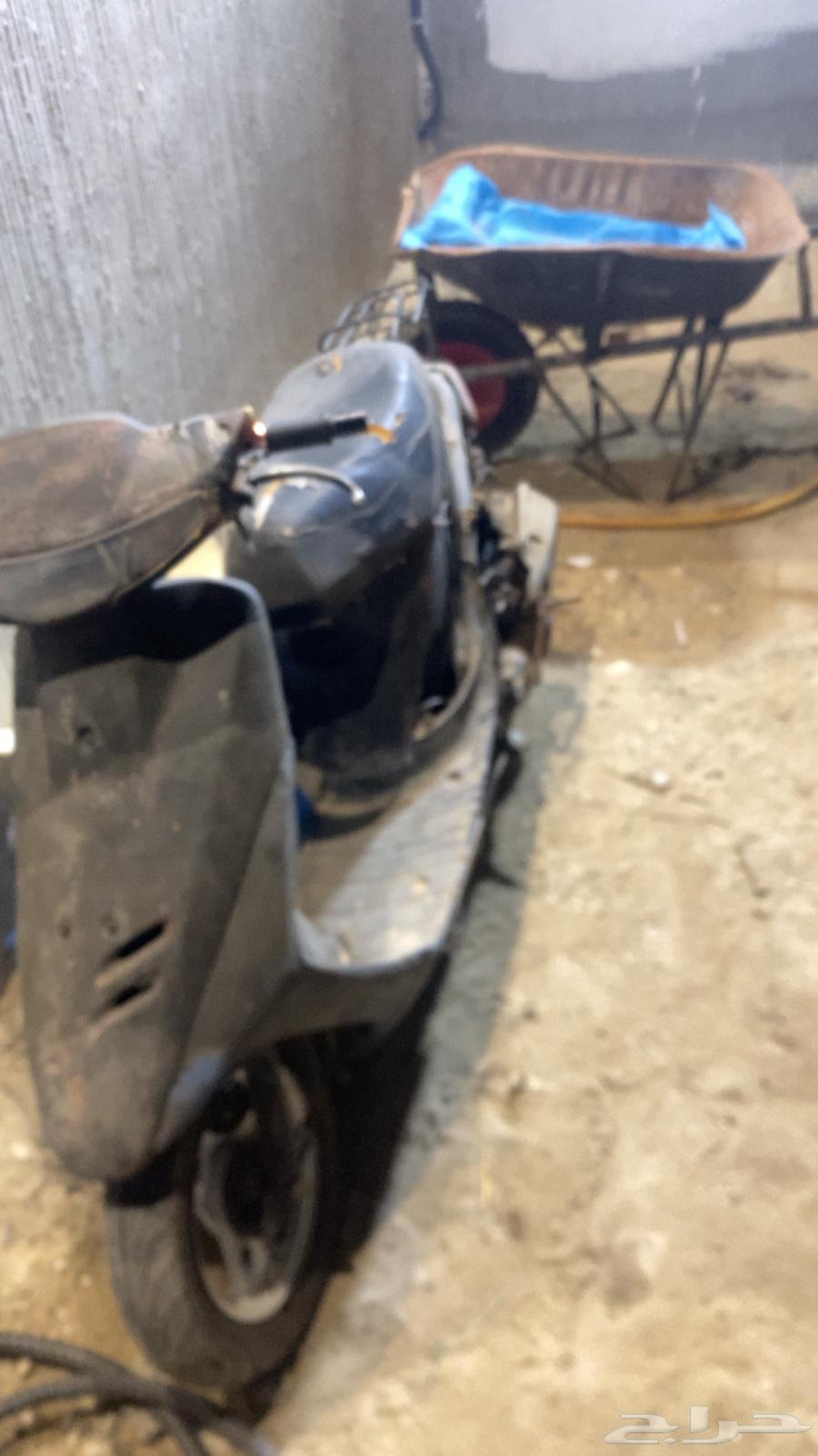 Report 1764534310262147112