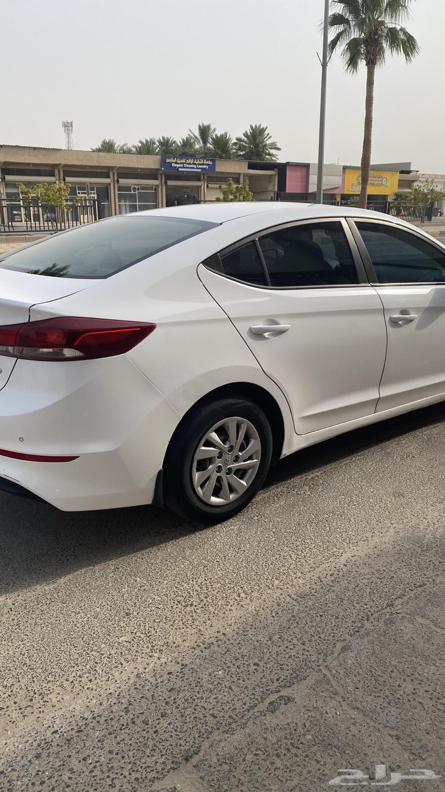 Nitra 2016 second batch64525760247554111