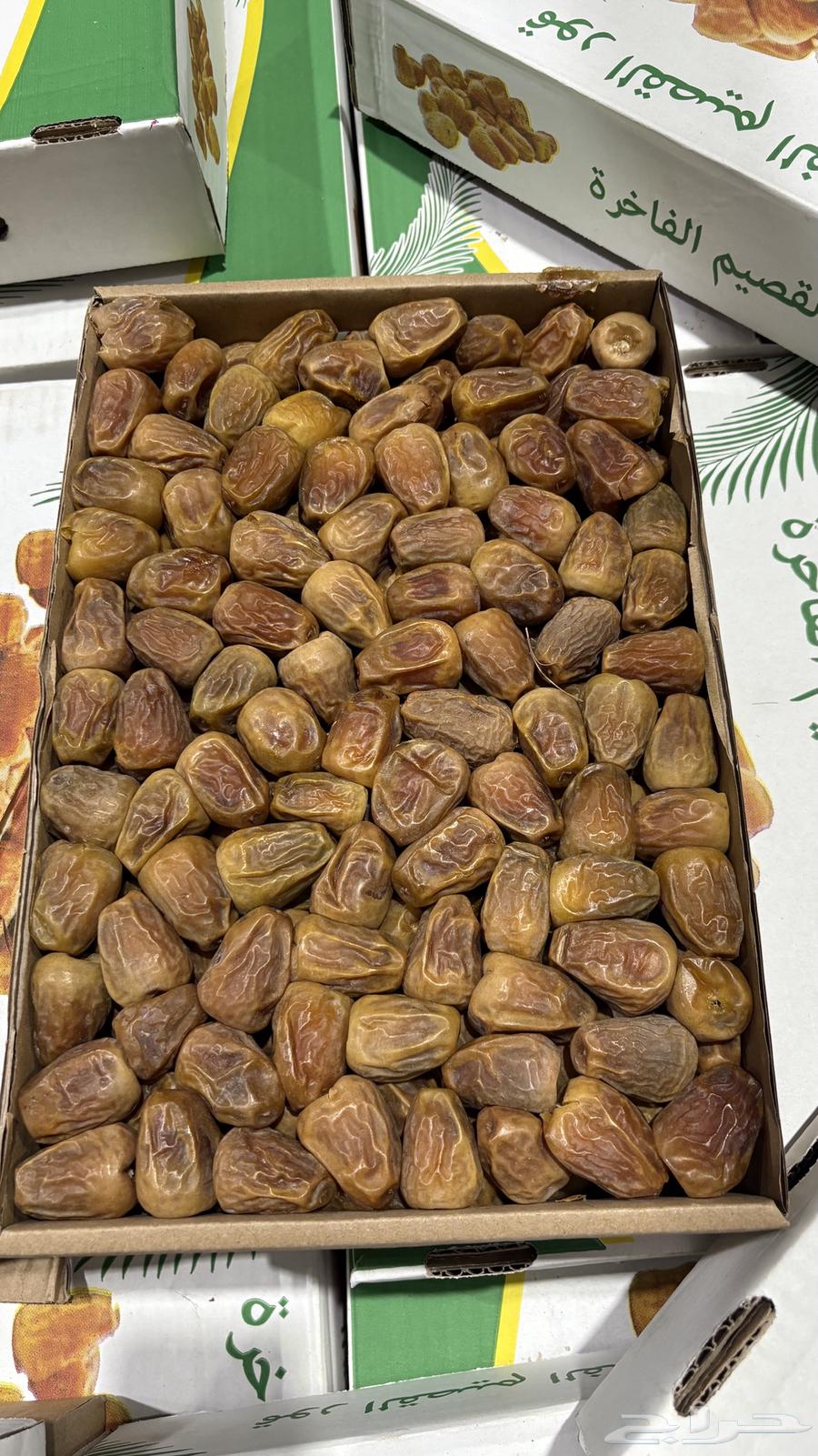 Tamr Skree Mafatil64389058891139111