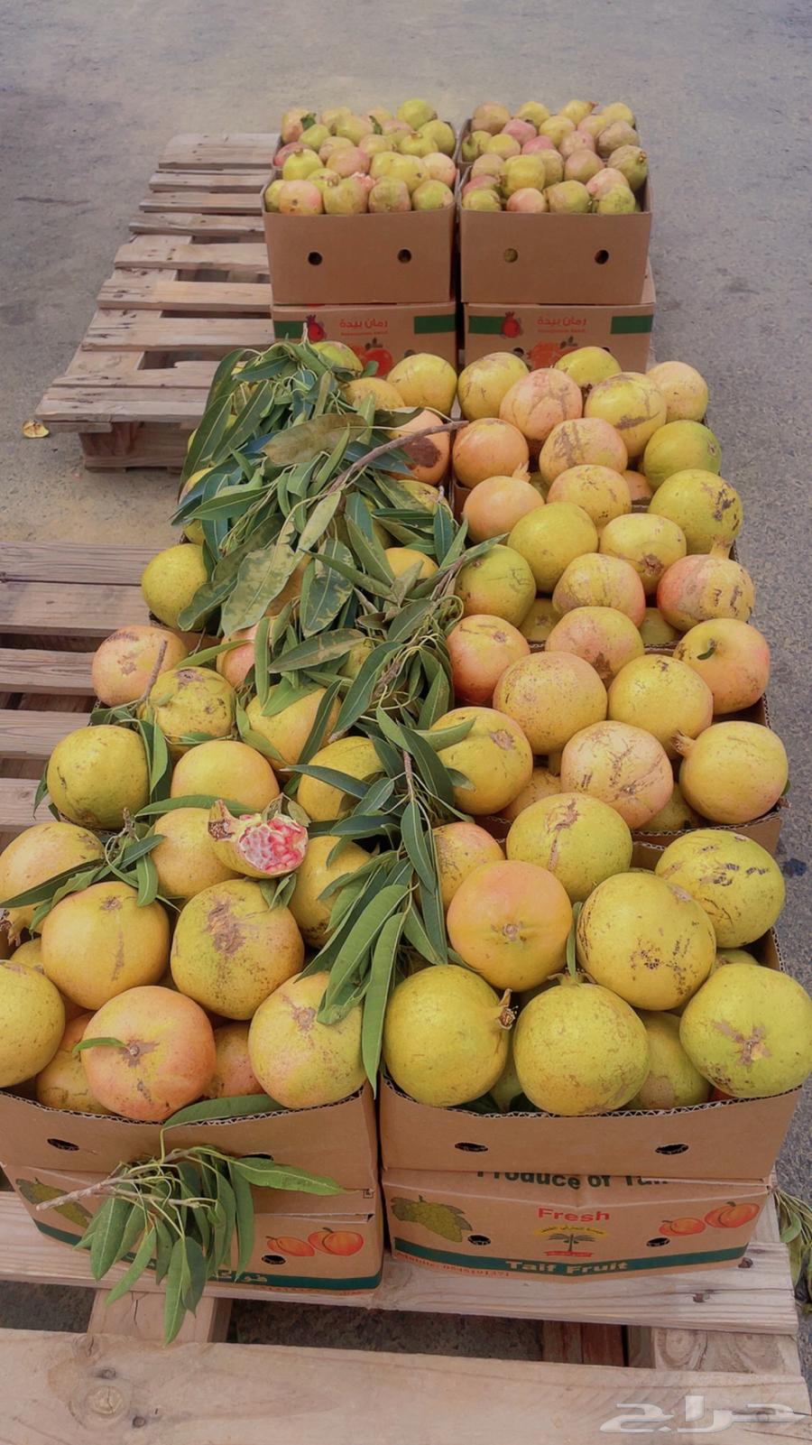 رمان بيدة. تربة مراوه(ويوجد لدينا توصيل )64384675048578112