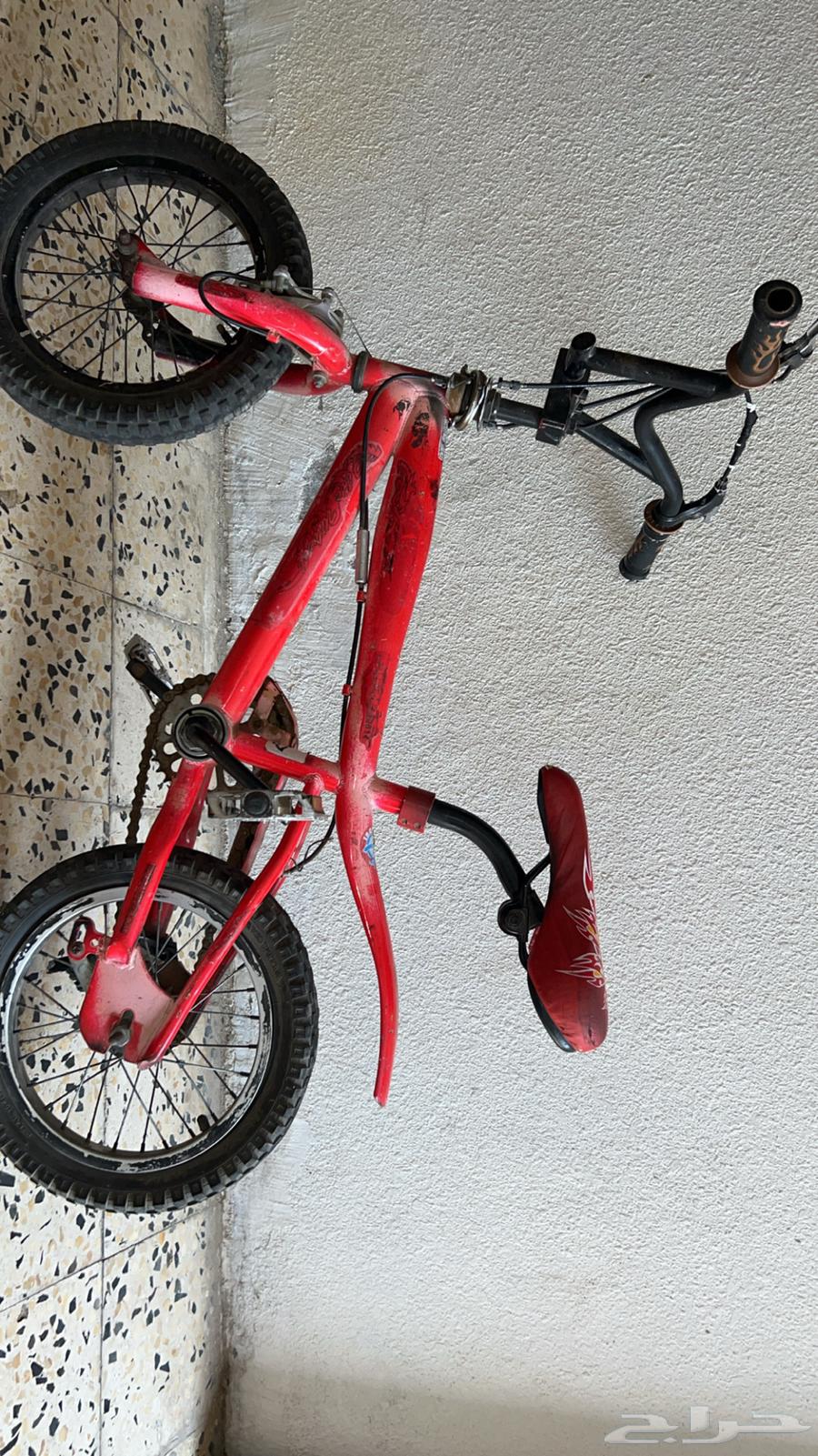 سيكل كوبرا64382900890371110