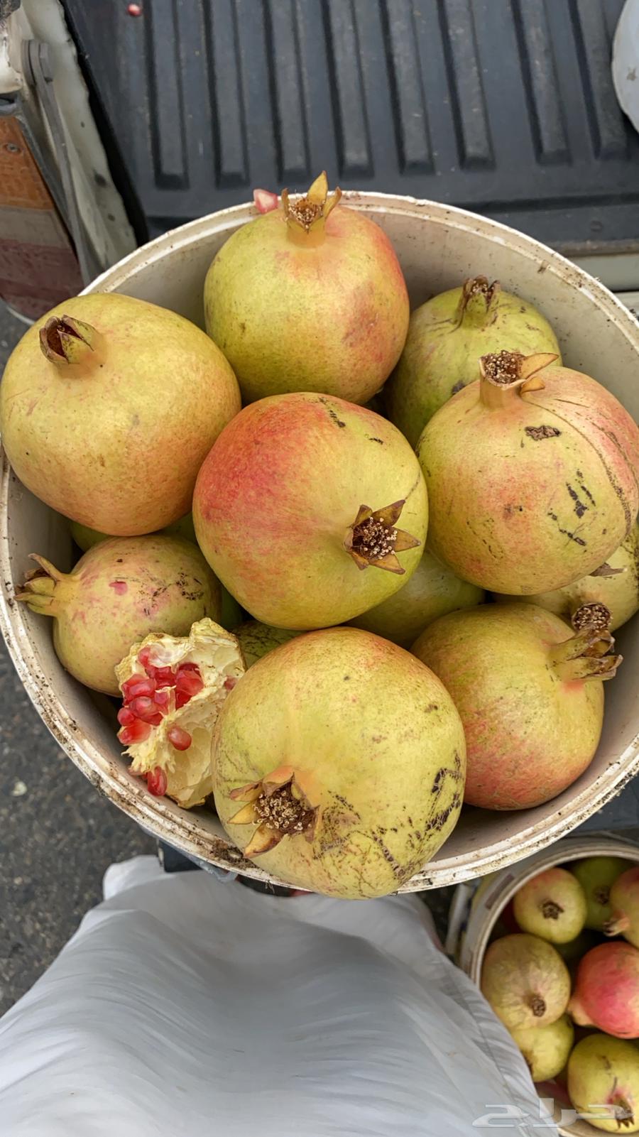 رمان جوف ال معمر64382224471811110