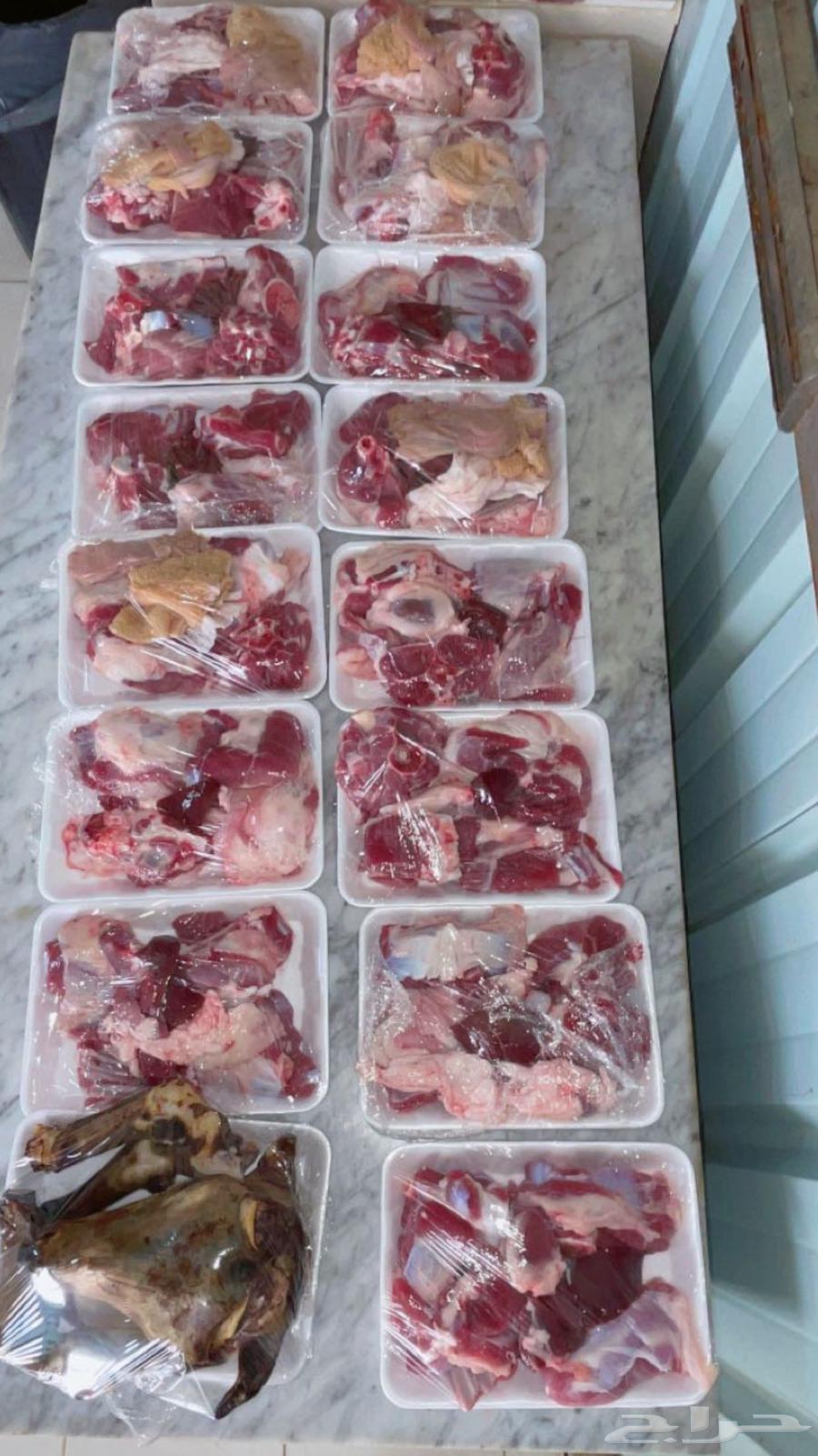 Abu Saeed Al-Shahrani's Slaughters64384409873026111