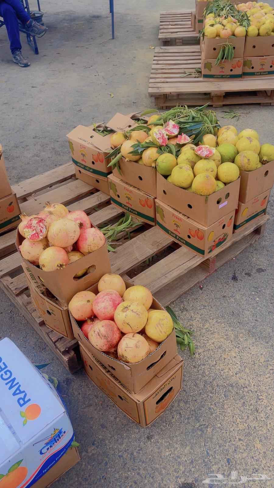 رمان بيدة. تربة مراوه(ويوجد لدينا توصيل )64384675048578114