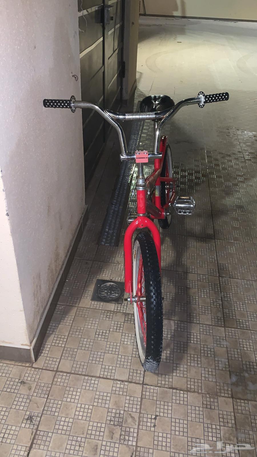 Cyclone Cobra64378105569793111