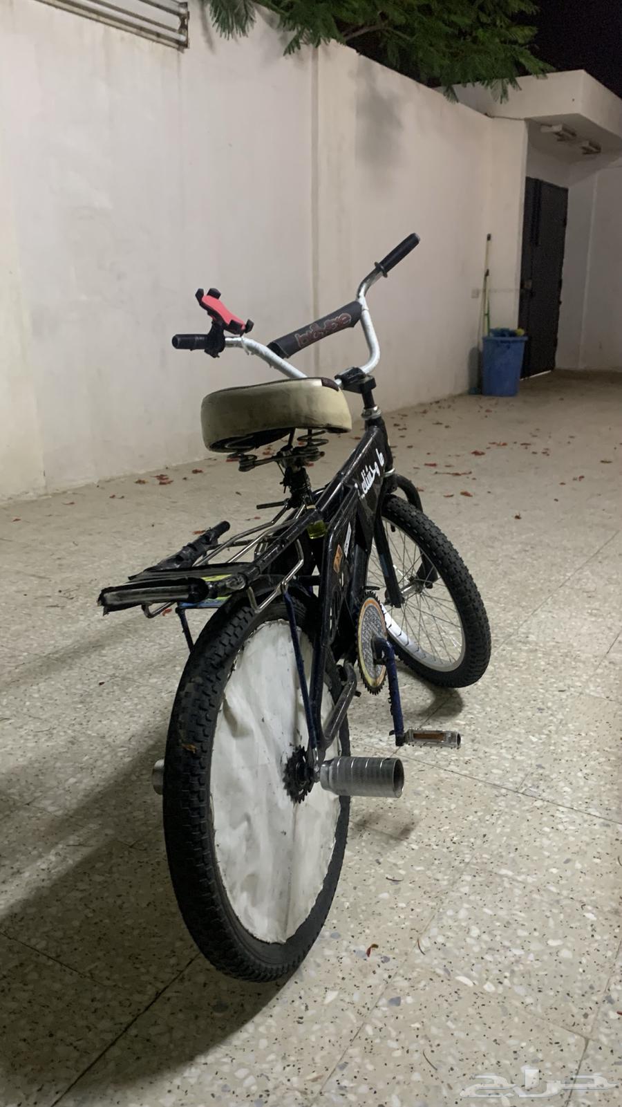 سيكل رامبو64380008417539113