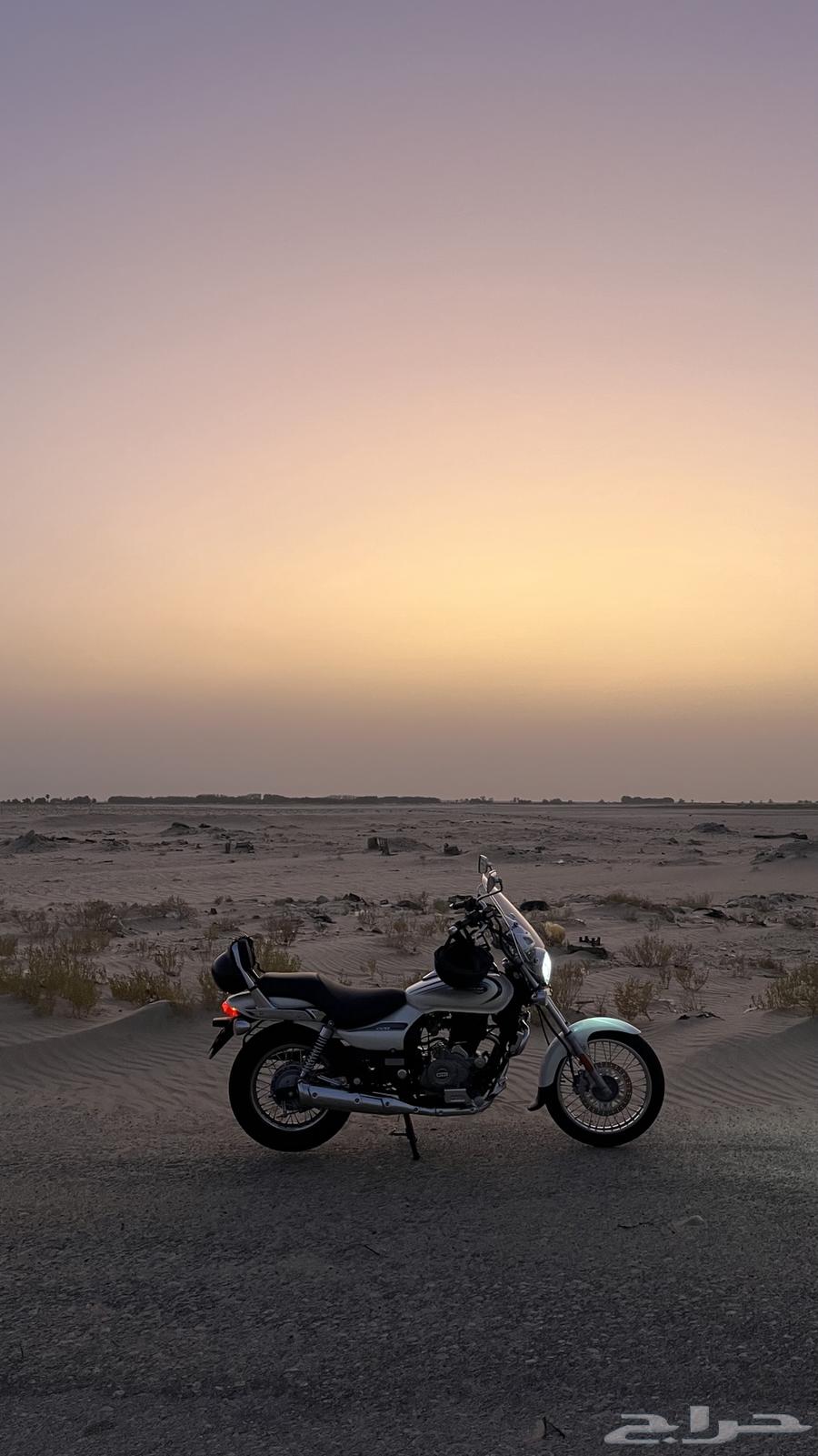 دباب كروز افنجر من بجاج64536223812994110