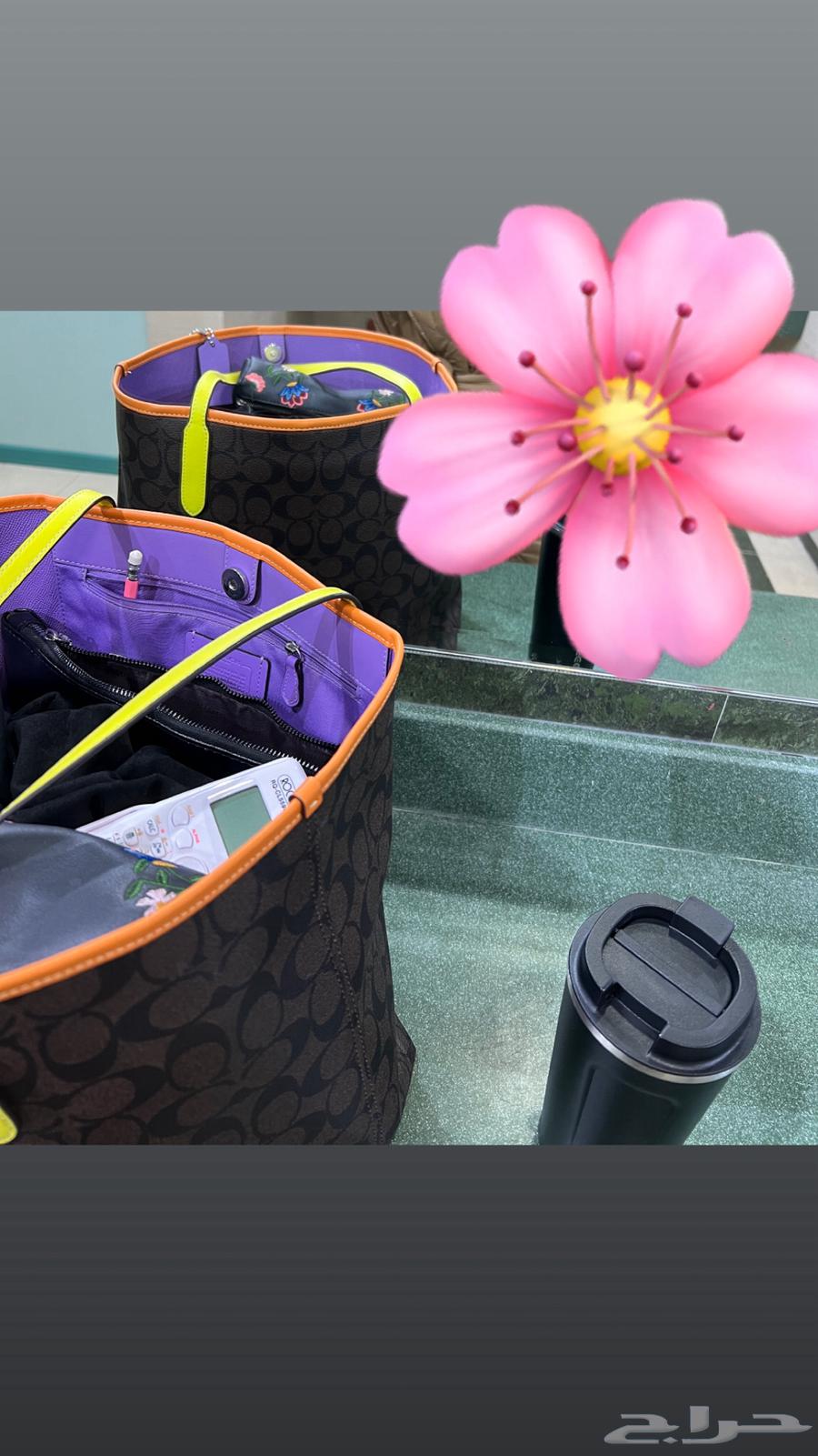 شنطة كوتش توت باق أصلية   نظيفة وعملي ة64389985269635114