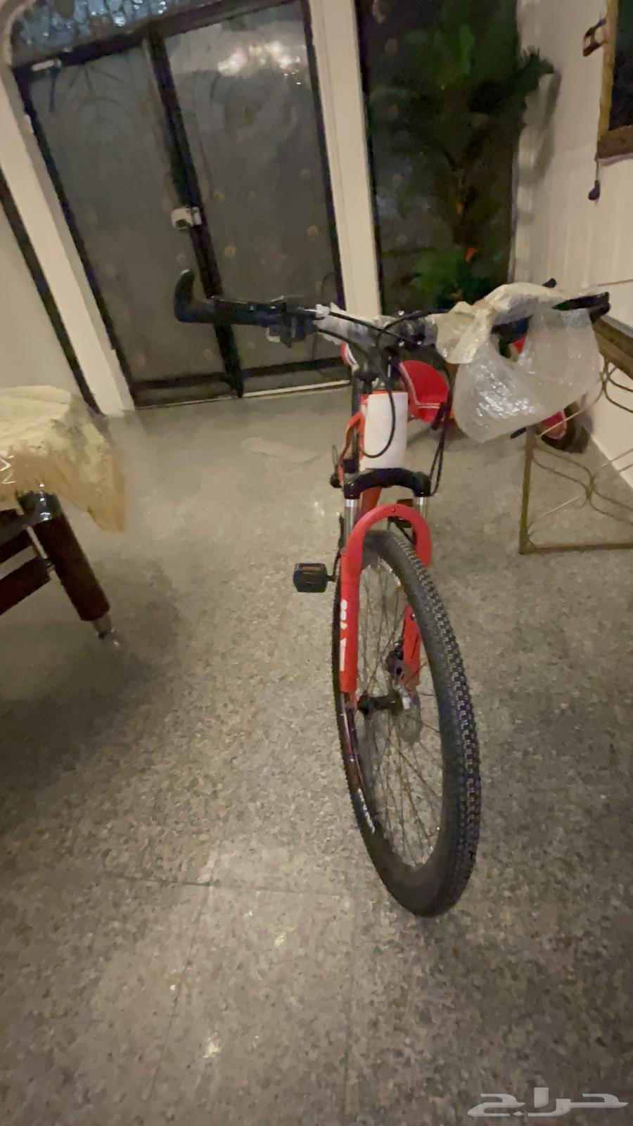 دارجة والله جديدة64377447186433114