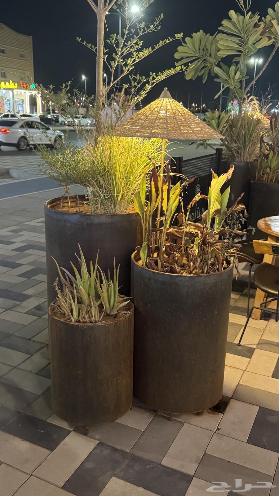 للبيع أبجورات وأحواض شجر مشجره كلها64381109145985112