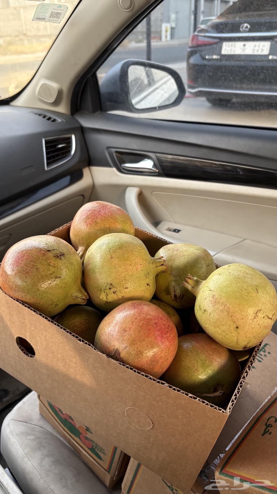 رمان من المزرعه الباحه64389364247553110