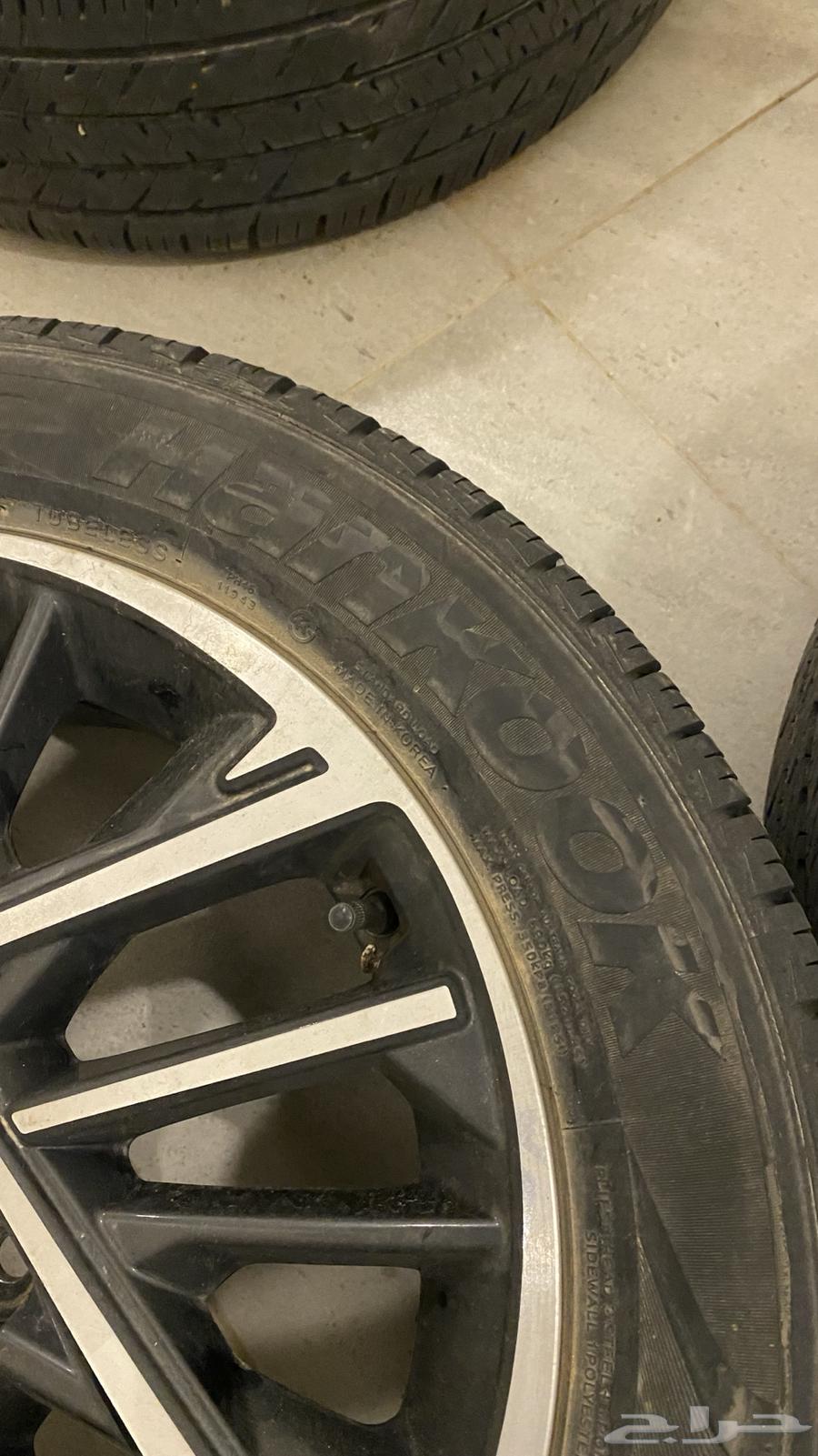 جنوط ازيرا مقاس 1764522598167938112