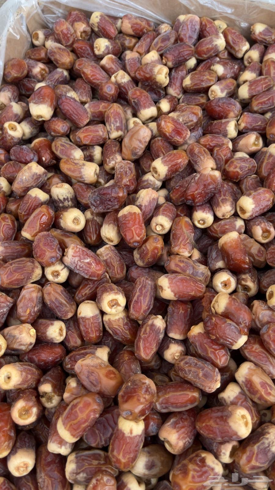 First-grade Sqai dates, Nquwa64391645779075112