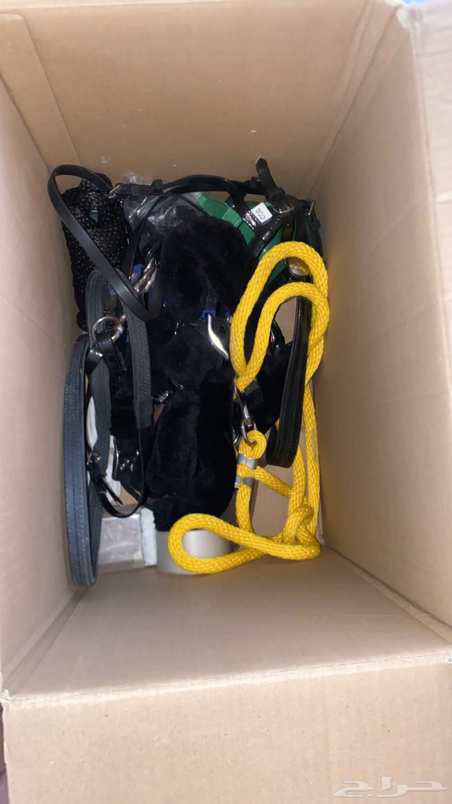 ادوات خيل جديده توني فاكها من الكرتون ولا استعملت64378774708227114