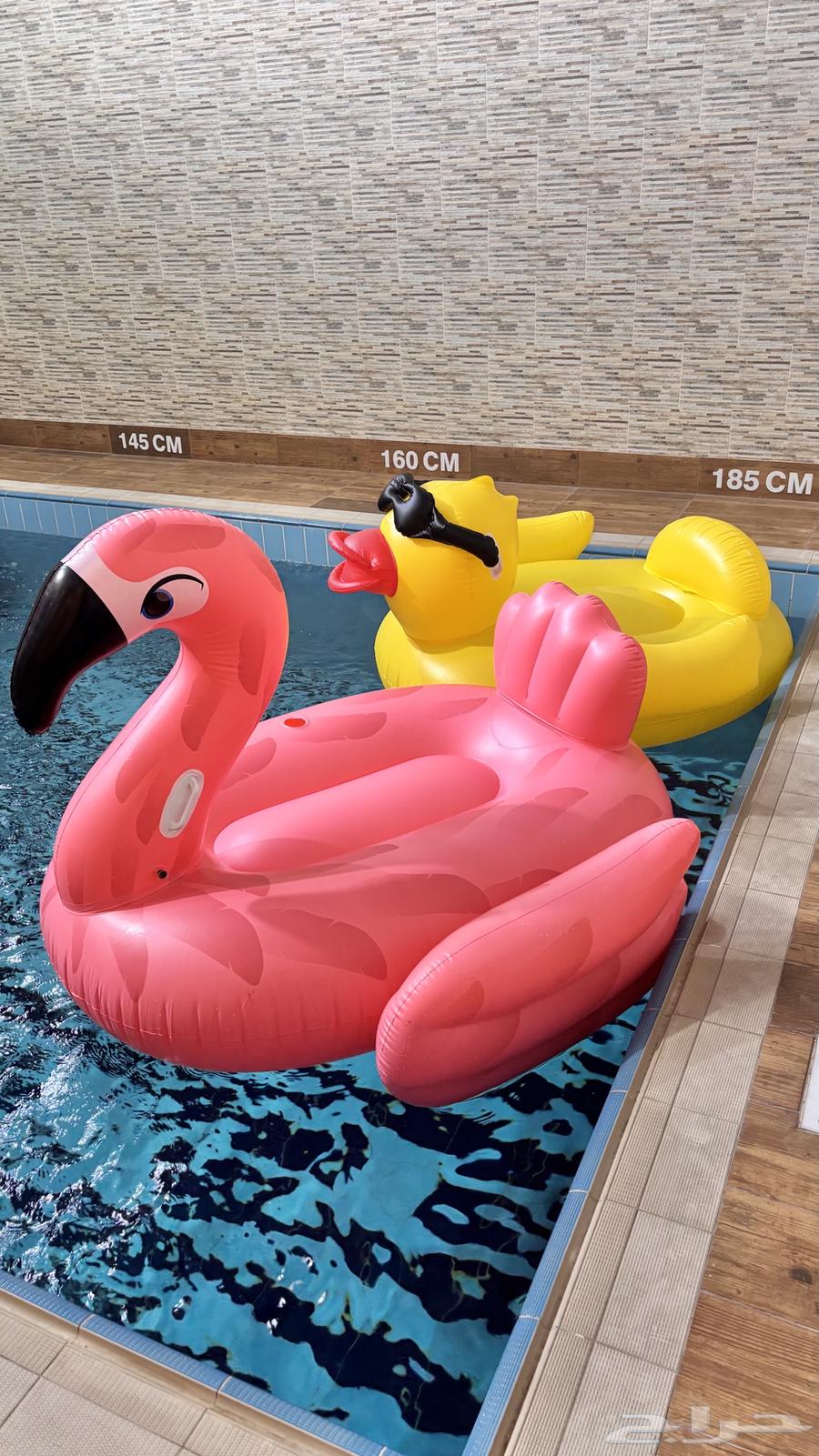 عوامات سباحة نظيفة64383206468993110