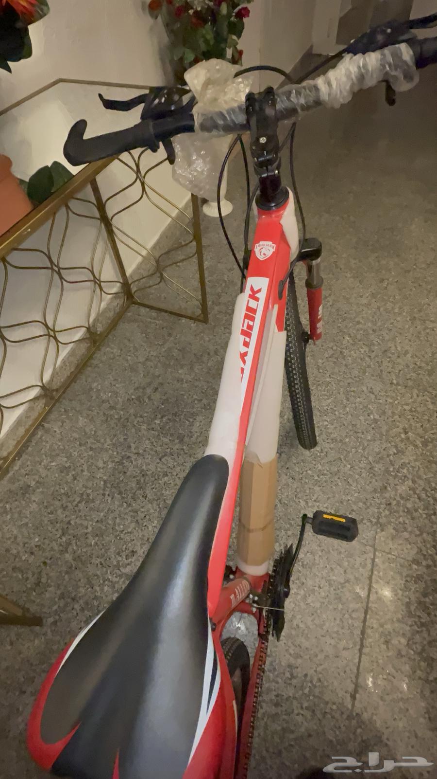 دارجة والله جديدة64377447186433113