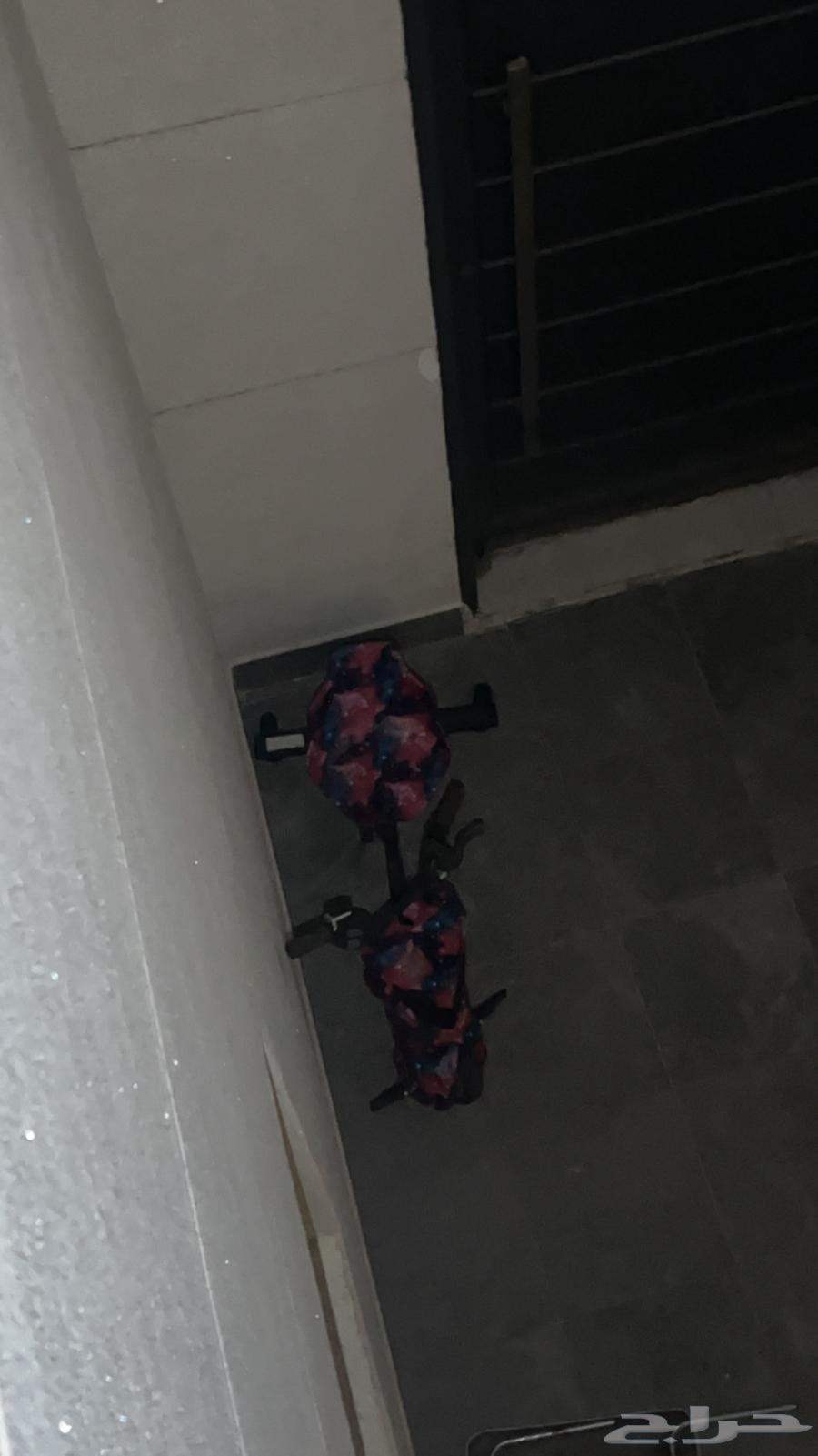 Scooter64378484221058110