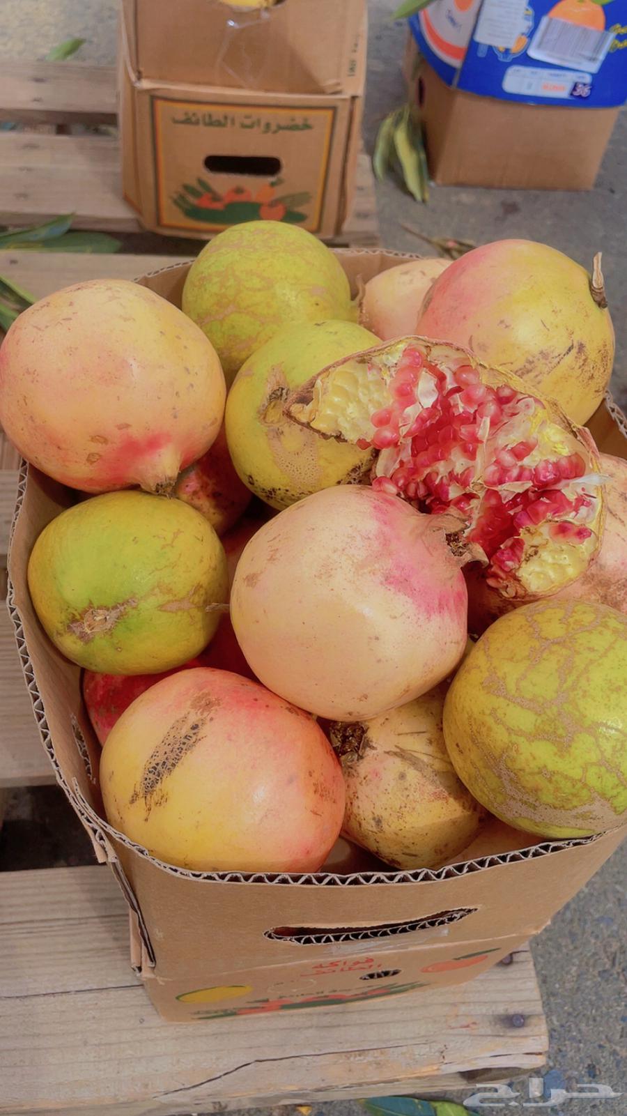 رمان بيدة. تربة مراوه(ويوجد لدينا توصيل )64384675048578111