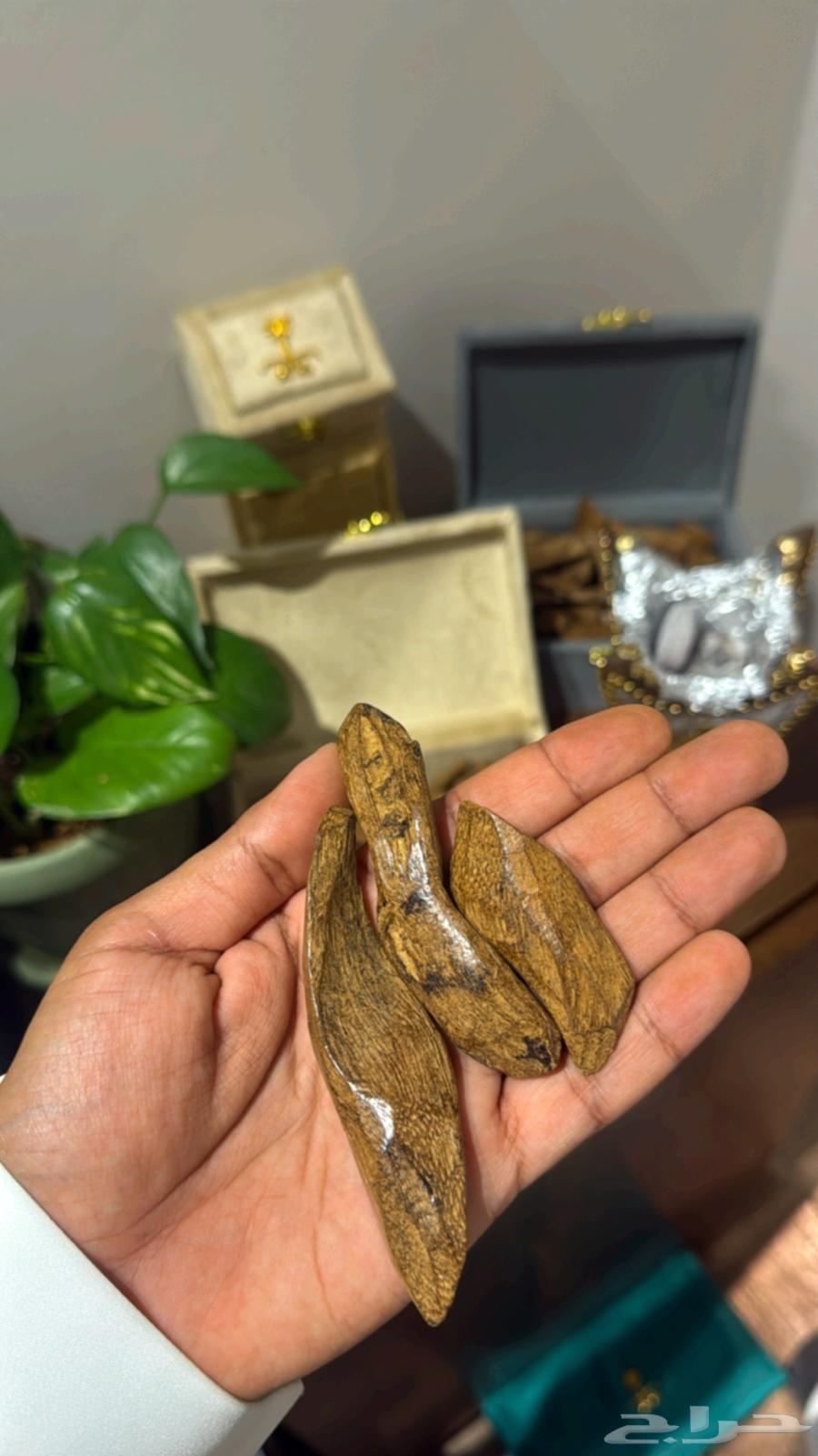 عود محسن موروكي تربل ك سر مباخر64377447230979111