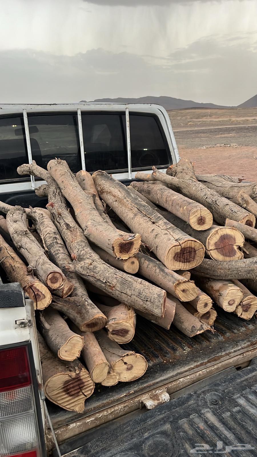 Samr firewood shards64381425206530110