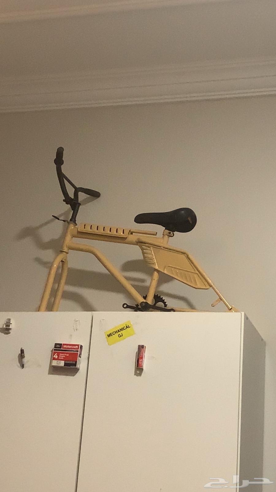 رامبو بدي ضعيف64390236016771110