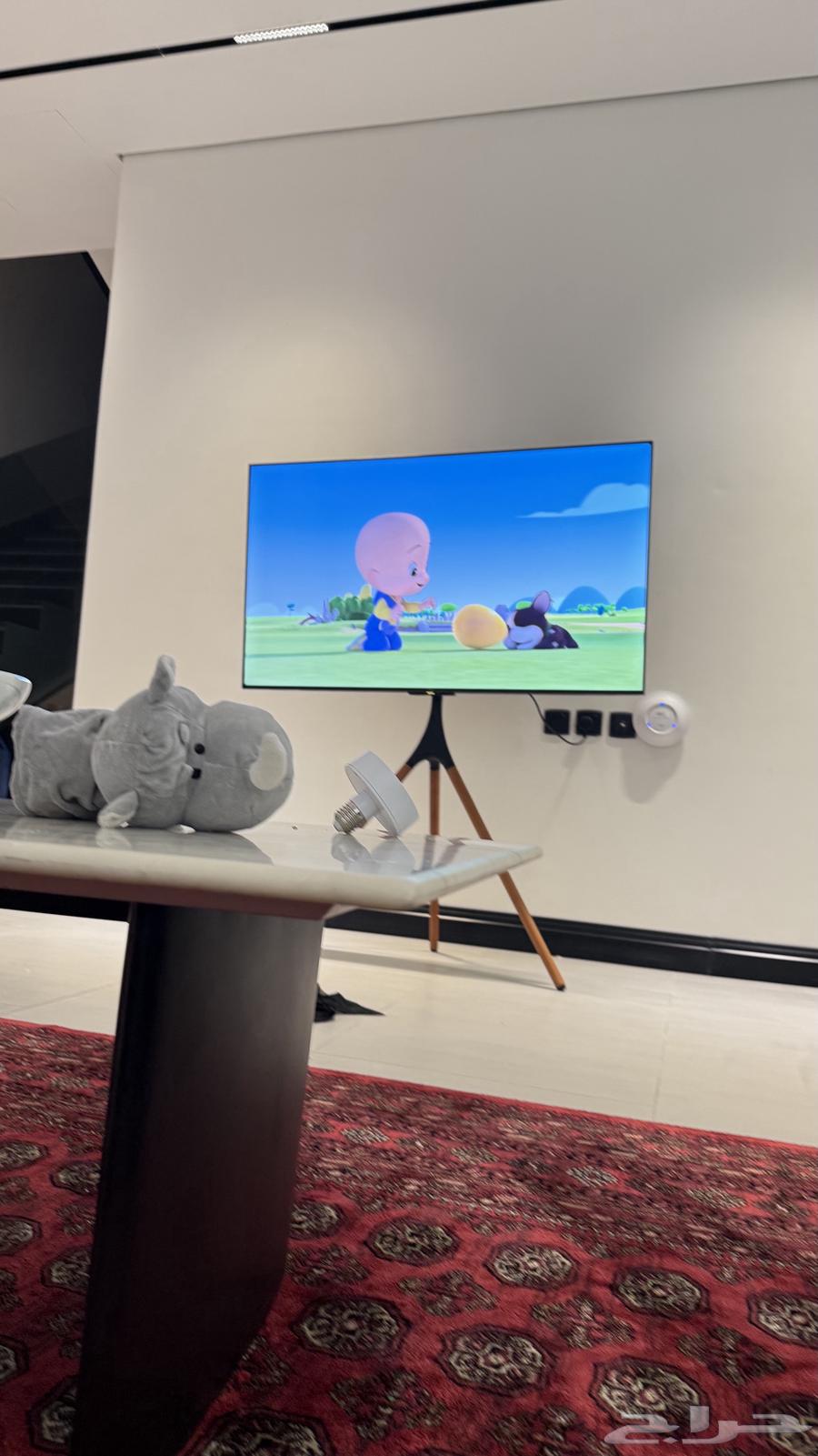 زولية 2 3 حزير من القفاري سعرها بالمحل بعد التخفيض ب160064378847652355113