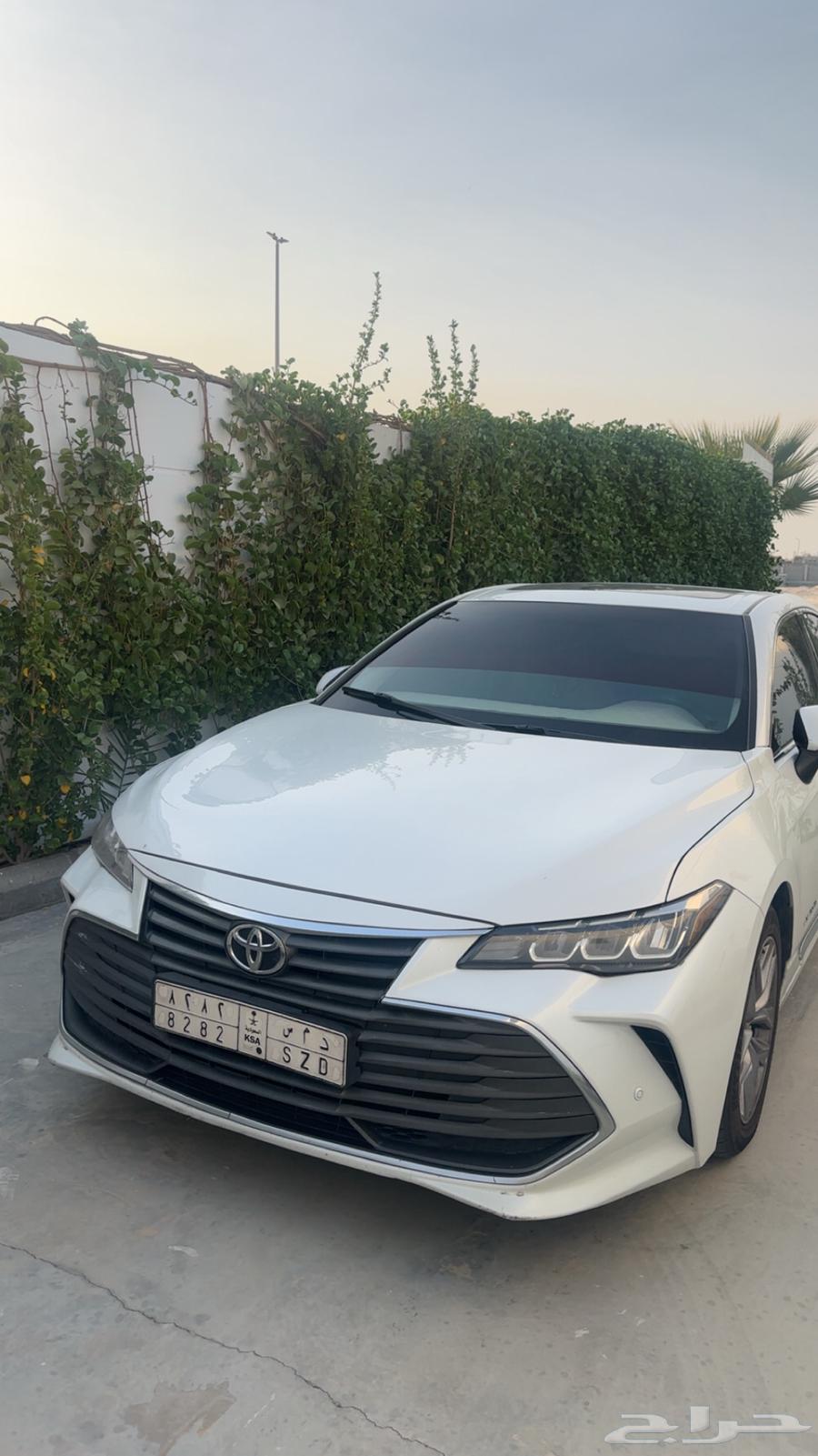 Avalon 2020 Tournament64524642679938113