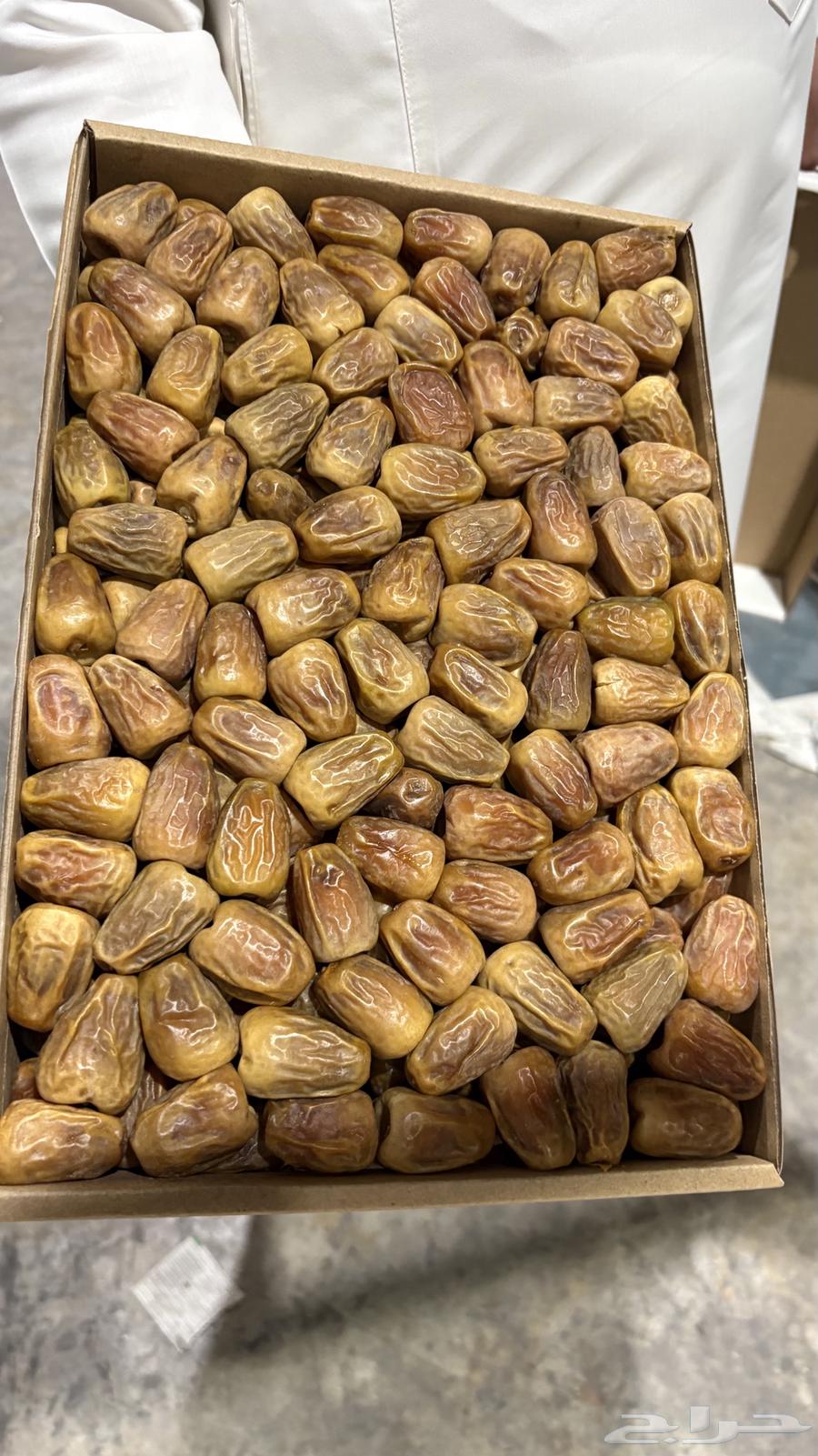 Tamr Skree Mafatil64389058891139110