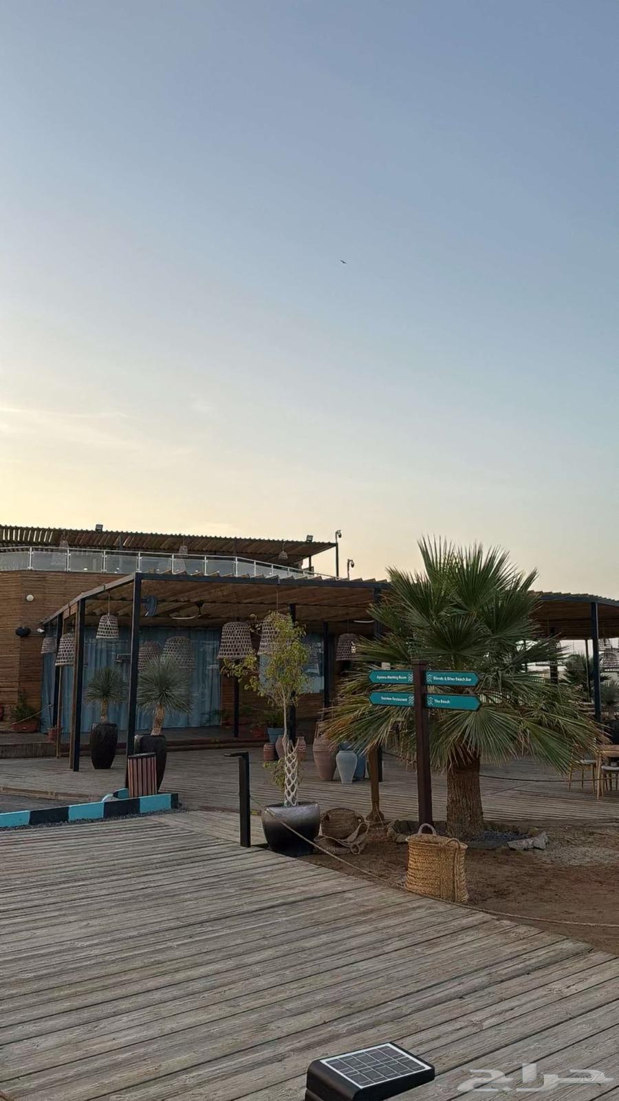 دباب 202264537421302913110