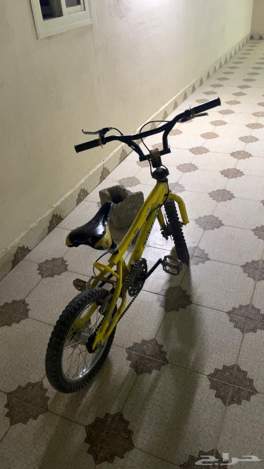 اعرض لكم دراجة كوبرا مقاس 1664384994179459112