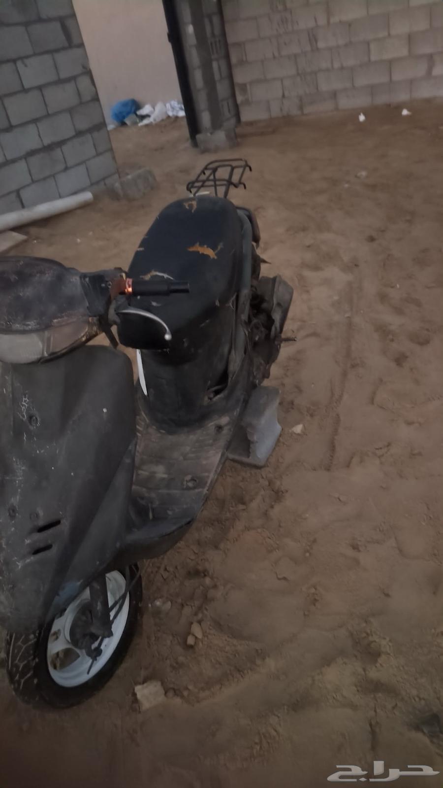 Report 1764534310262147111