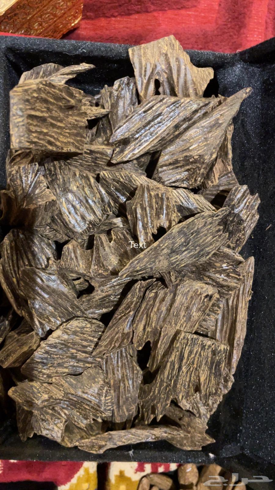 عود ازرق كلمنتان محسن دبل سوبر بيور64391388635137110