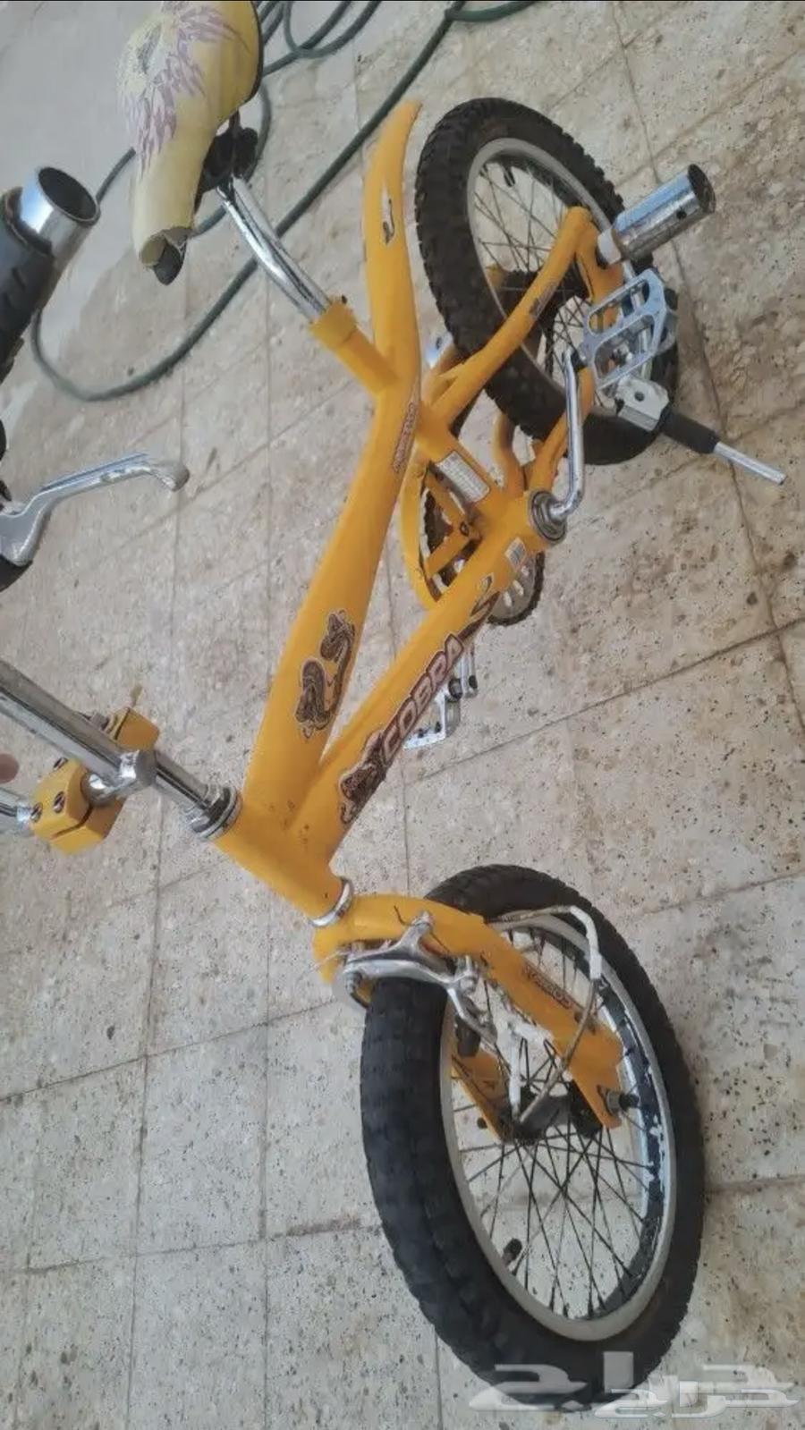 سيكل كوبرا نظيف64384883547649110