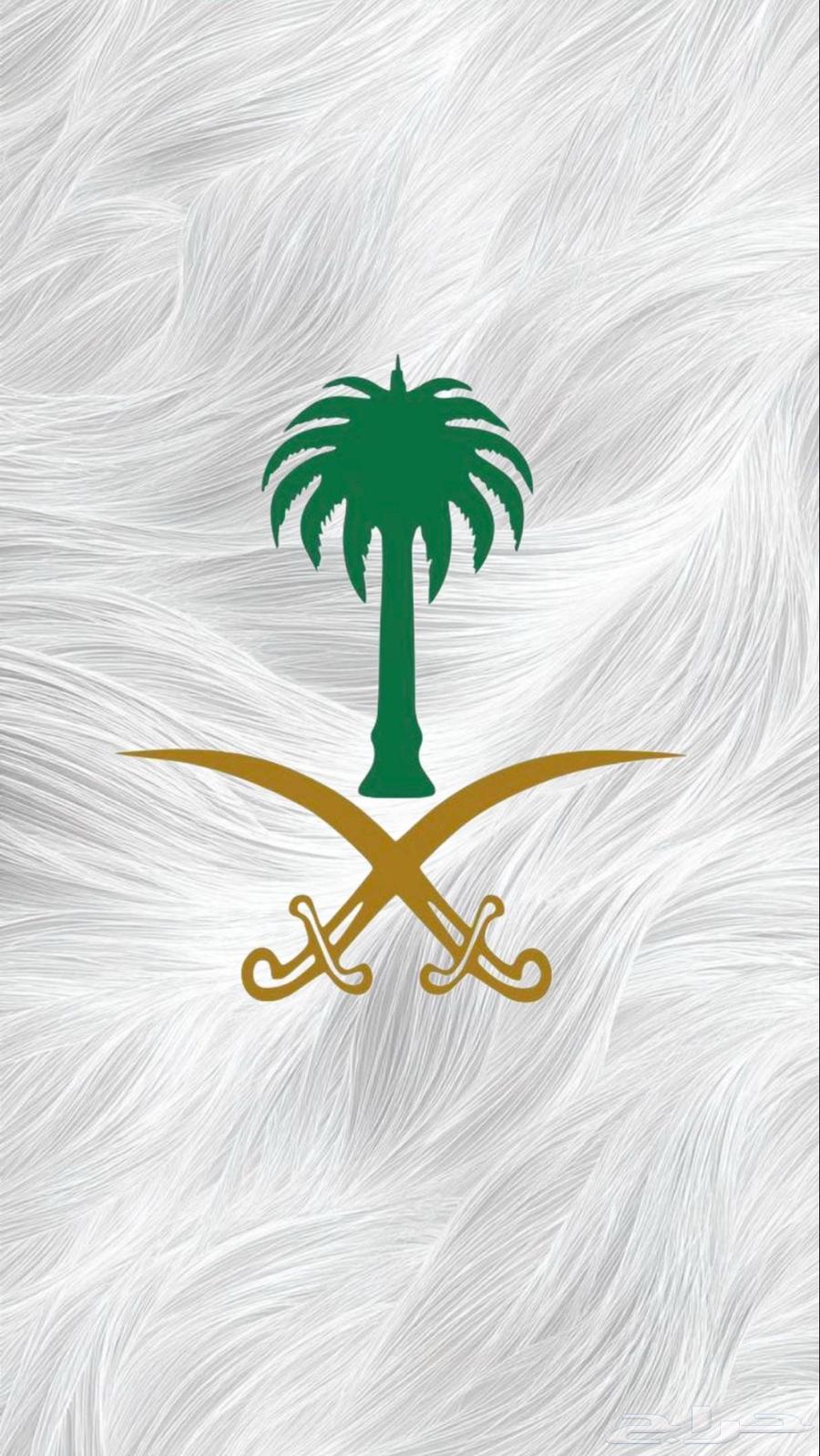 Body Master monthly subscription required, less than that64390040604929110