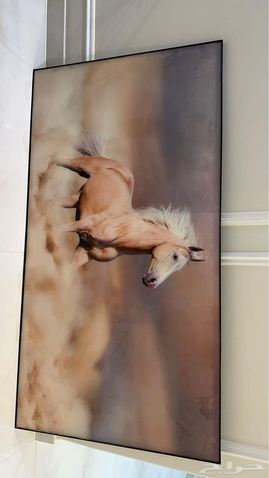 لوحه جديده للبيع64392169036035110