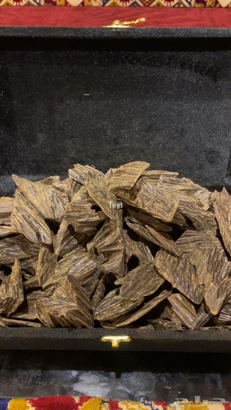 عود ازرق كلمنتان محسن دبل سوبر بيور64391388635137113