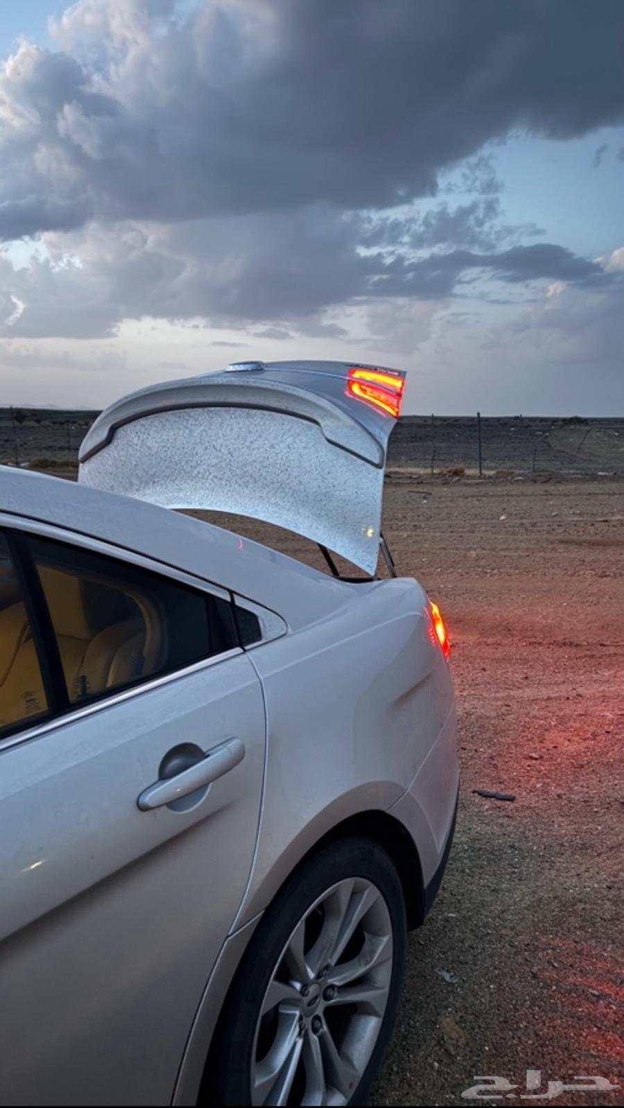 تورس فل كامل بدي وكالة64536599155715110