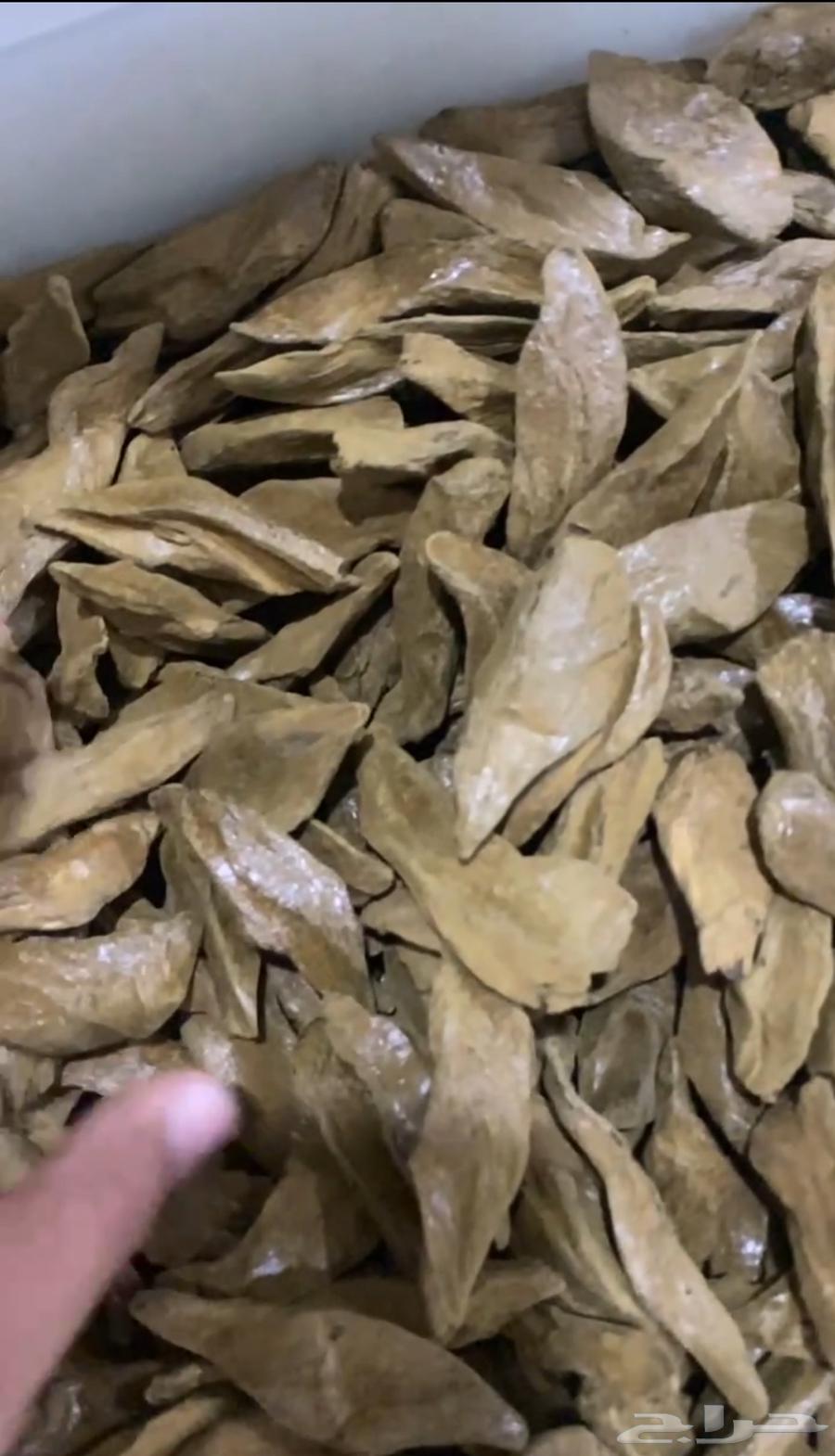 عرض الجديد البخور64387522941314110