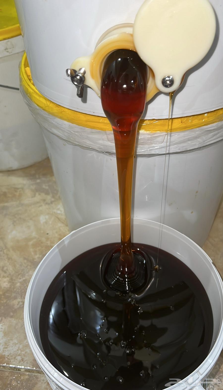 عسل سمره اصلي ف ذمتي شي طيب64380390177921110