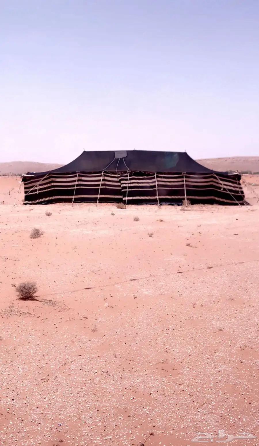 بيت شعر ب1500وصامل نراعيه64384410034433110