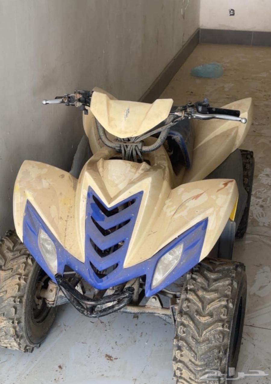 دباب للبيع64536334792451110